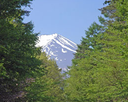 �y�G�[�XJTB�E�������s�z�R���c�A�[�E�R���̗��فE�z�e���\��